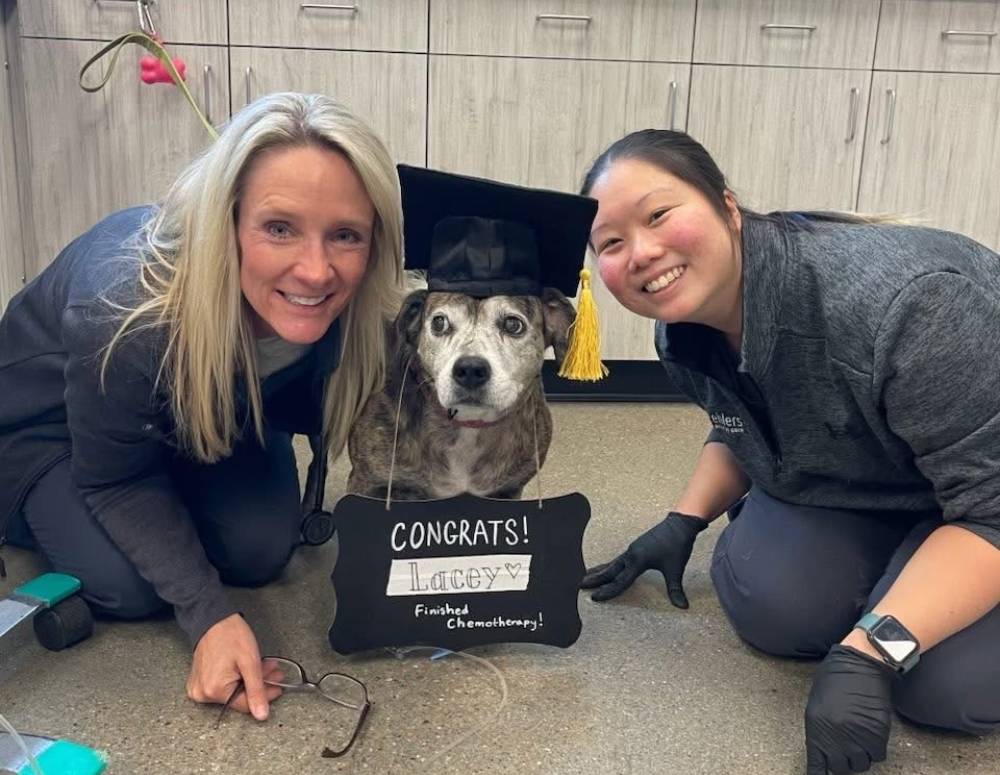 Dog, women celebrating chemotherapy graduation Dog, women celebrating chemotherapy graduation